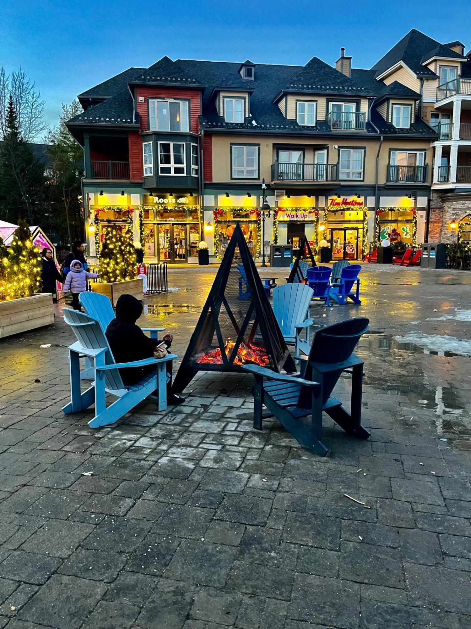 ההרים הכחולים Blue Mountain Studio Oasis מראה חיצוני תמונה